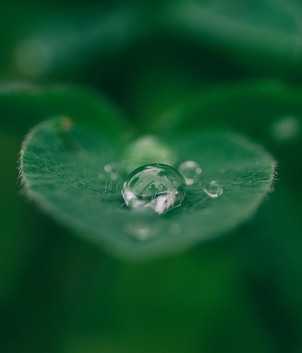 Secret Aura（シークレットオーラ）